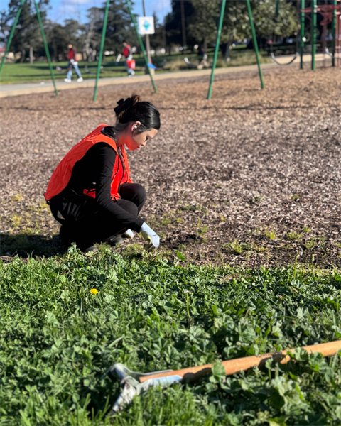 A person in a red jacket kneels on grass in a park, holding a small tool while working near a playground with swings and a slide in the background.
