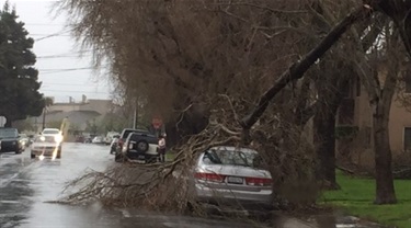 Storm damage