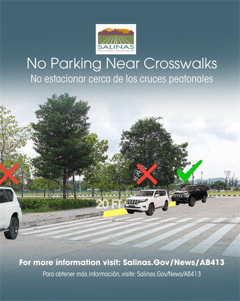 No Parking Near Crosswalks (1).png