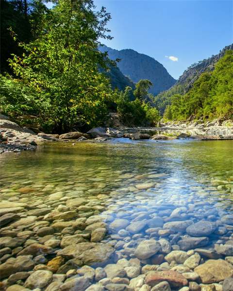 Stock image of river