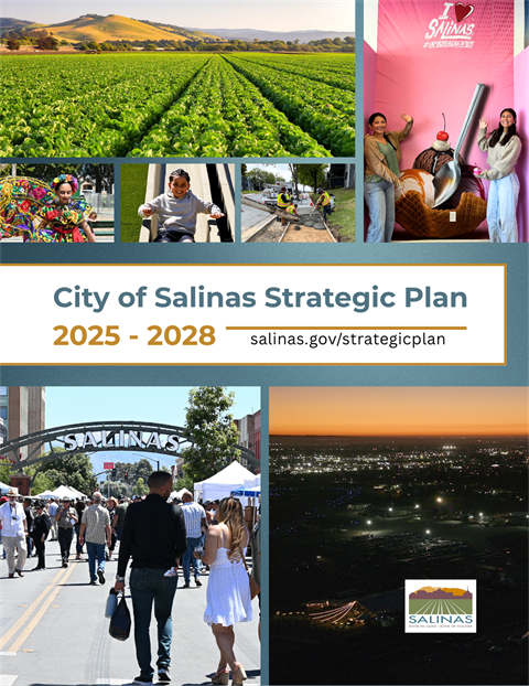 2025-2028 Strategic Plan.png