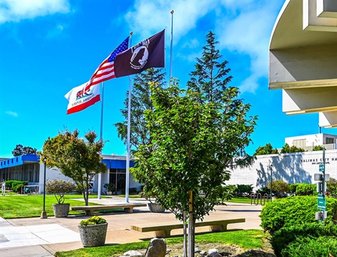 City-Hall-Flags.jpeg