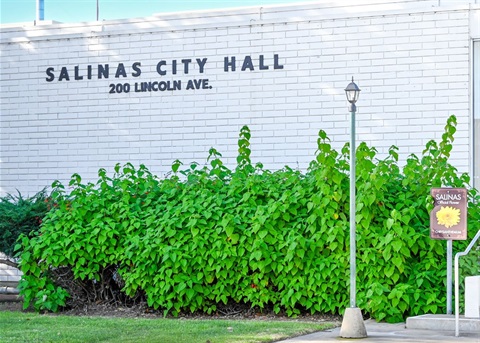 City Hall_02.jpg