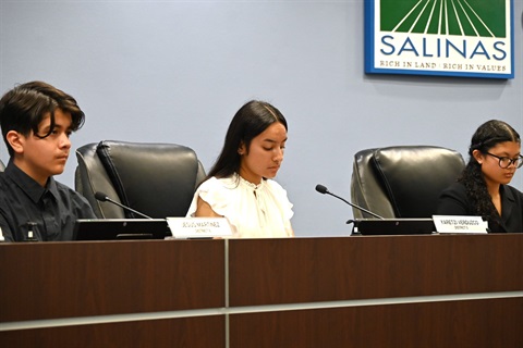 Salinas Mock City Council.JPG