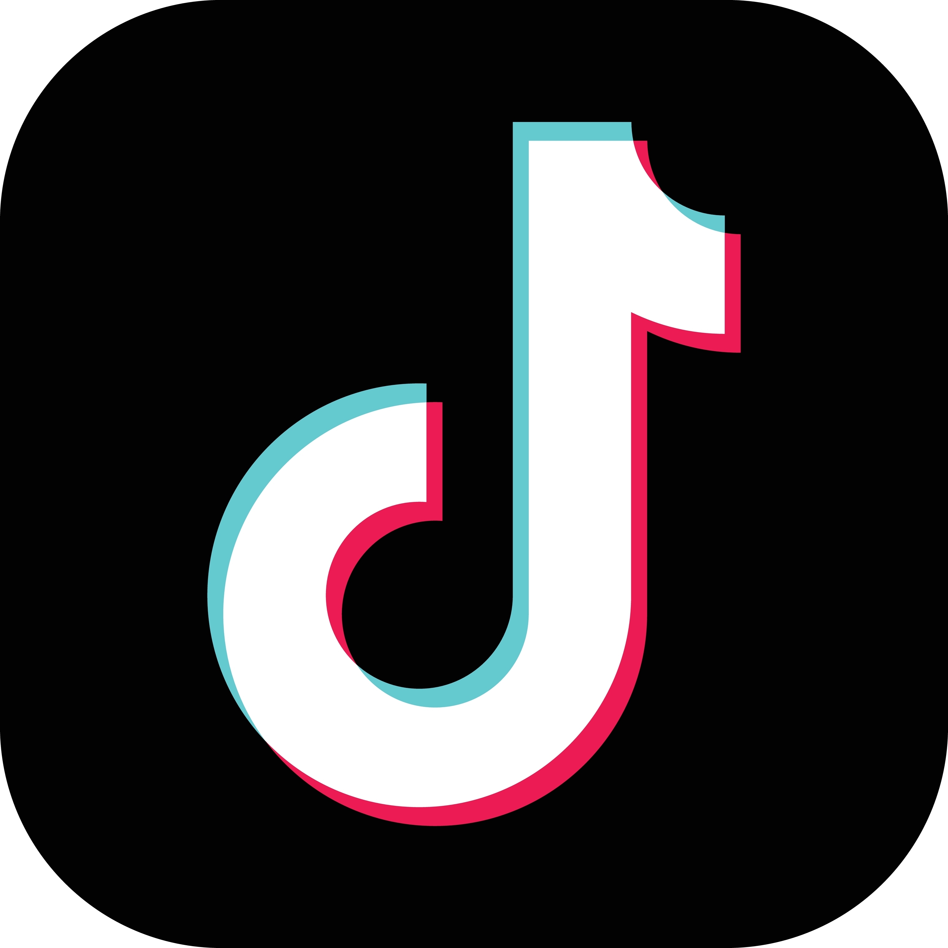 TikTok Icon