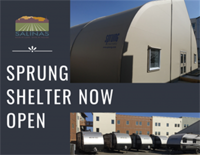 Sprung Shelter.png