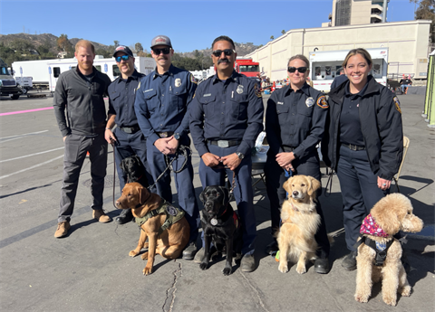Prince Harry and K9s.PNG