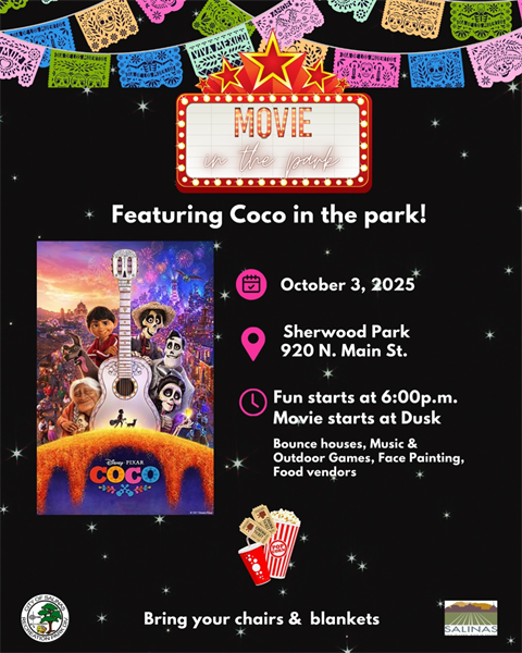 Movie in the Park.png