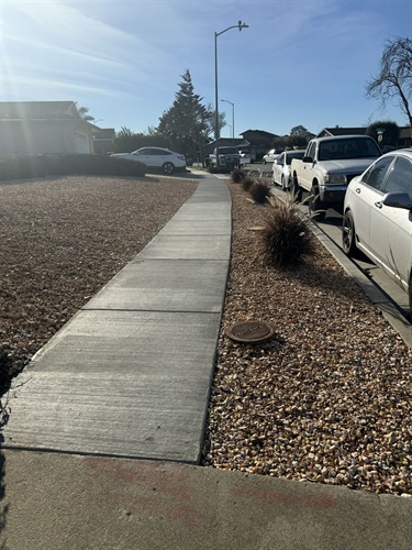 A strip of sidewalk that has been repaired throught the 2024 sidewalk repair project.