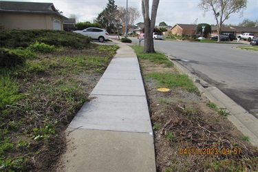A strip of damaged sidewalk before the city began the 2024 sidewalk repair project.