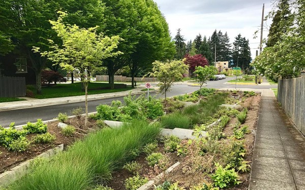 green stormwater infrastructure