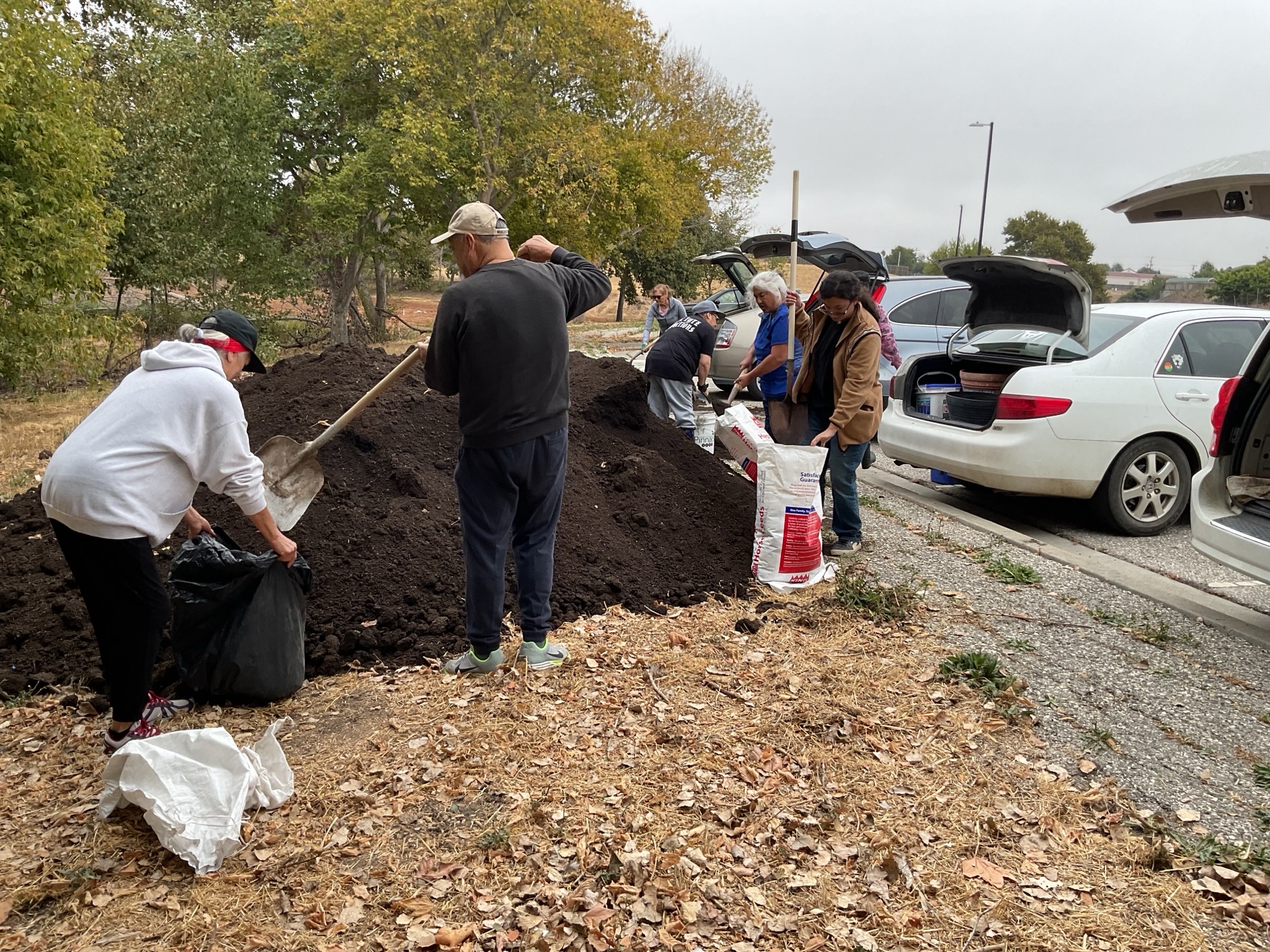Resident picking up compost soil