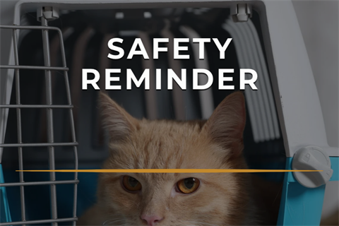 Safety Reminder with a cat in a carrier in the background