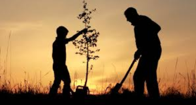 father and son planting a tree