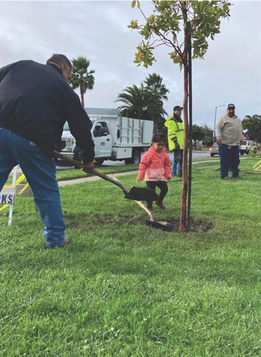 A man uses a shovel to dig a hole for a young tree on a grassy lawn while a small child in a pink jacket stands nearby. In the background, two workers look on next to a white utility truck parked along a residential street.